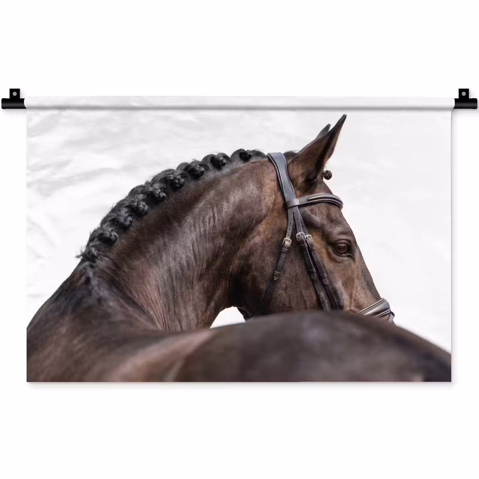Wandkleed - Portret - Paard - Elegant — 1