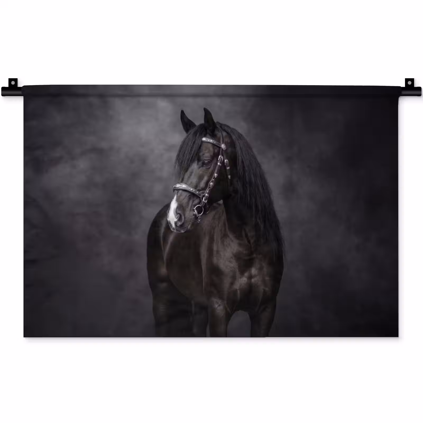 Wandkleed - Portret - Paard - Zwart — 1