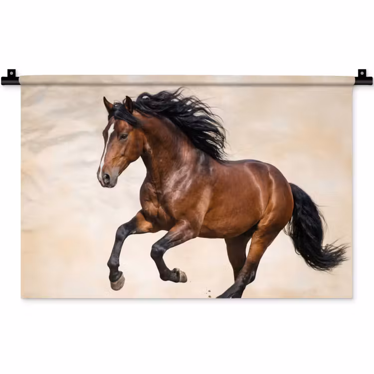 Wandkleed - Paard - Galop - Energie — 1