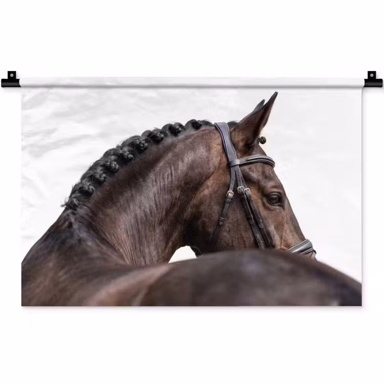 Wandkleed - Portret - Paard - Elegant — 1