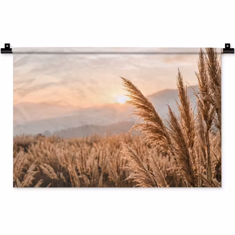 Wandkleed - Gras - Veld - Zon - Natuur — 1