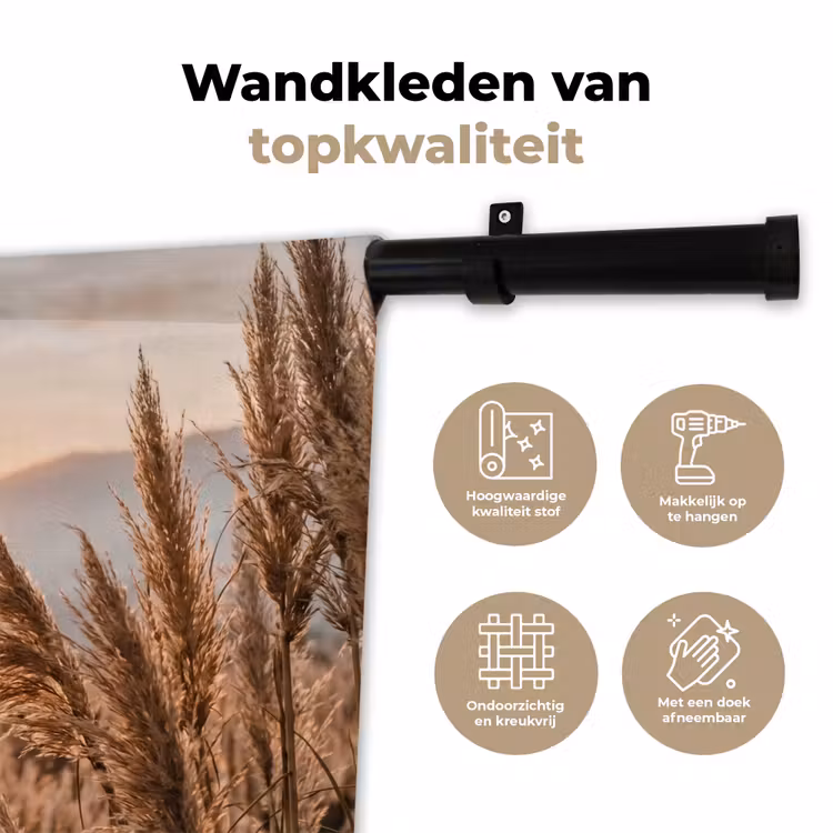 Wandkleed - Gras - Veld - Zon - Natuur — 3