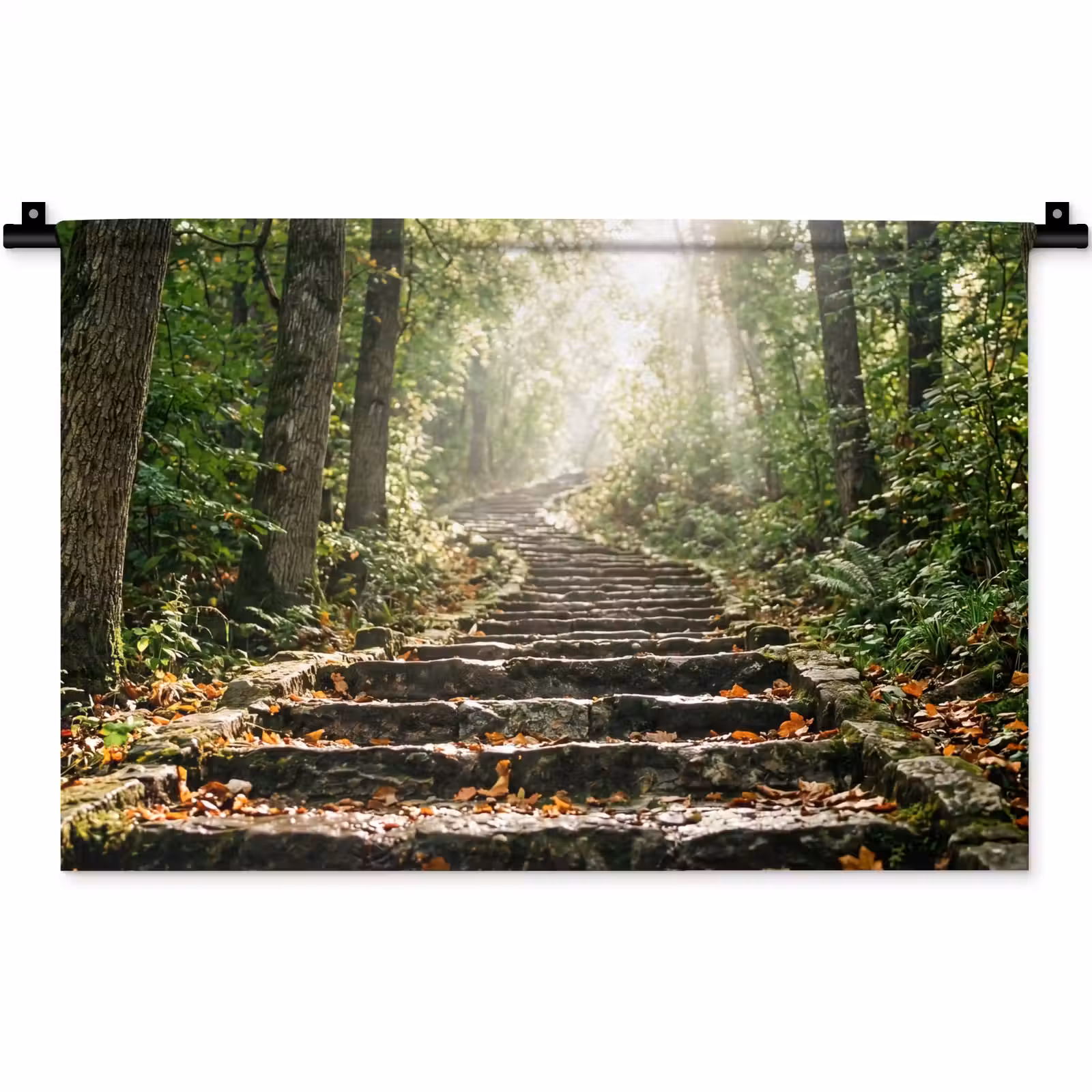 Wandkleed - Stenen - Trap - Bos - Natuur — 1
