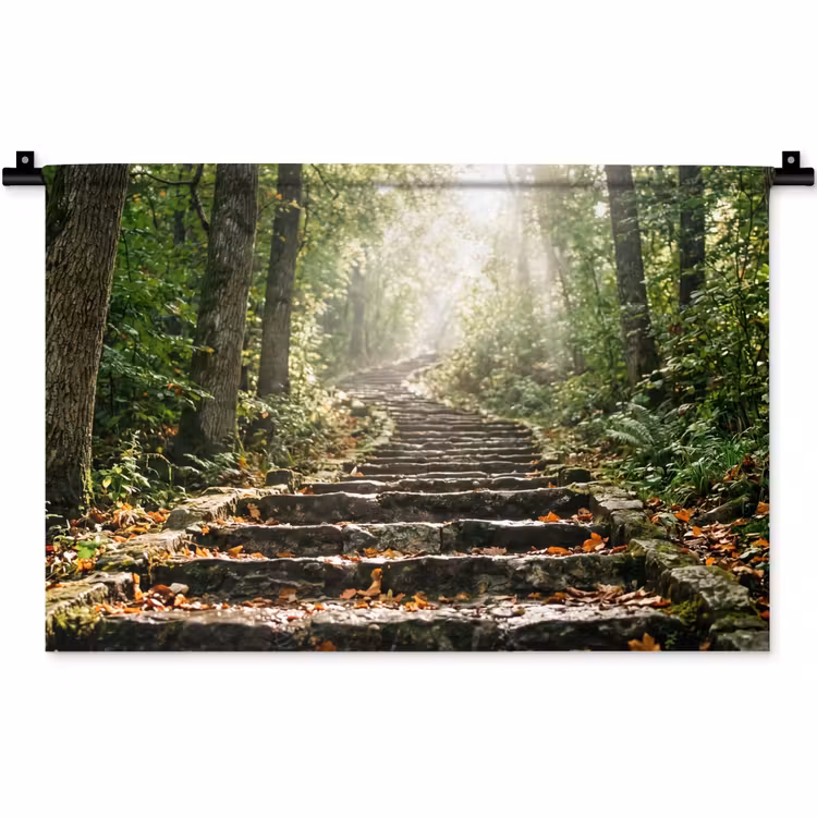 Wandkleed - Stenen - Trap - Bos - Natuur — 1