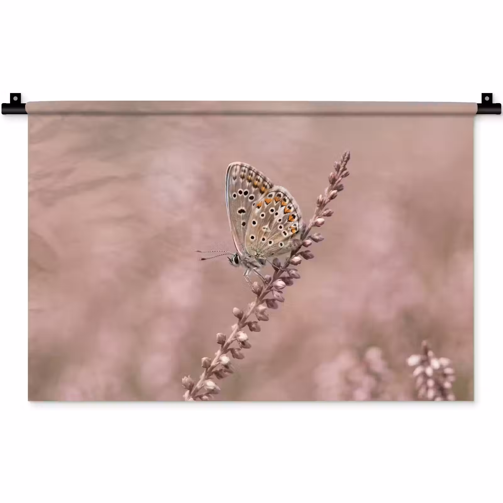 Wandkleed - Lavendel - Vlinder - Paars — 1
