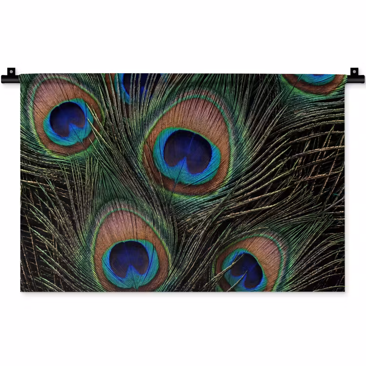 Wandkleed - Pauwenveren - Klassiek - Groen — 1