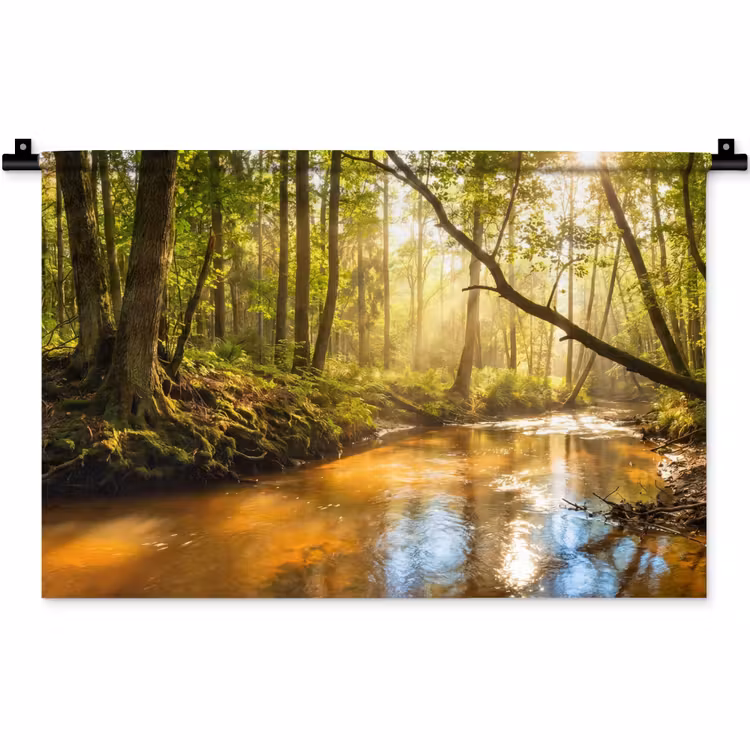 Wandkleed - Bos - Beek - Zonlicht - Natuur - Groen — 1