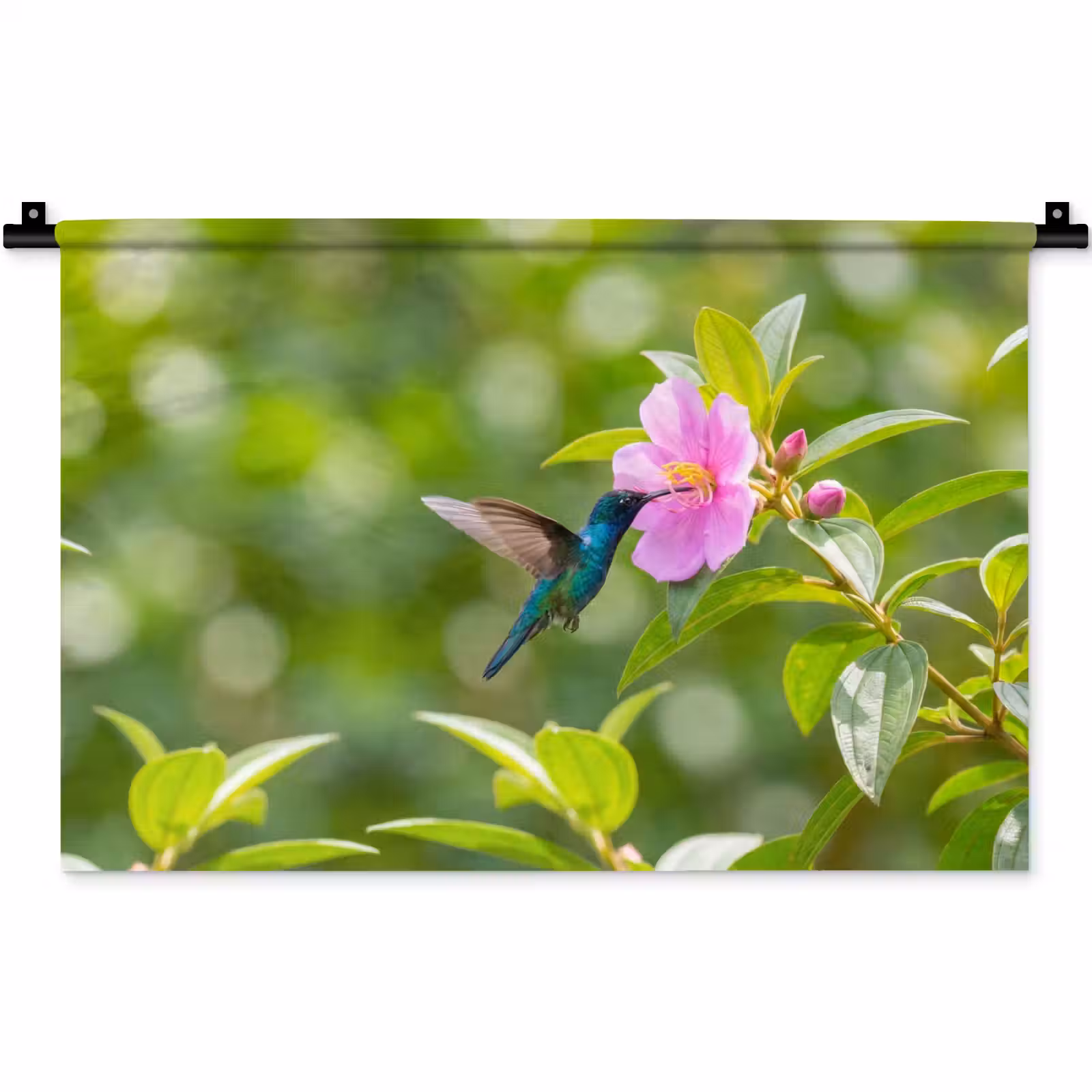 Wandkleed - Kolibrie - Bloem - Natuur - Groen — 1