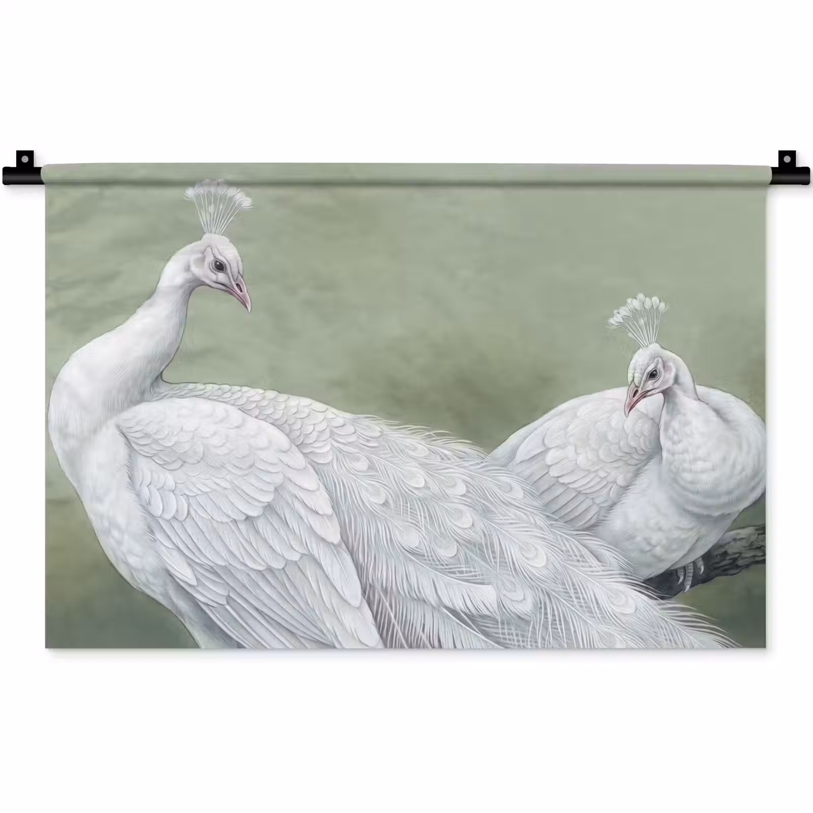 Wandkleed - Pauwen - Wit - Natuur - Groen — 1