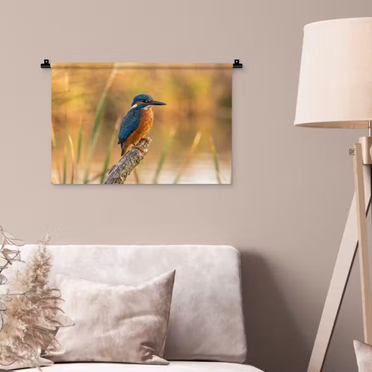 Wandkleed - IJsvogel - Tak - Water - Kleurrijk - Levendig — 2
