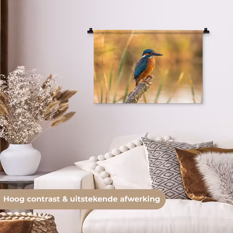Wandkleed - IJsvogel - Tak - Water - Kleurrijk - Levendig — 4