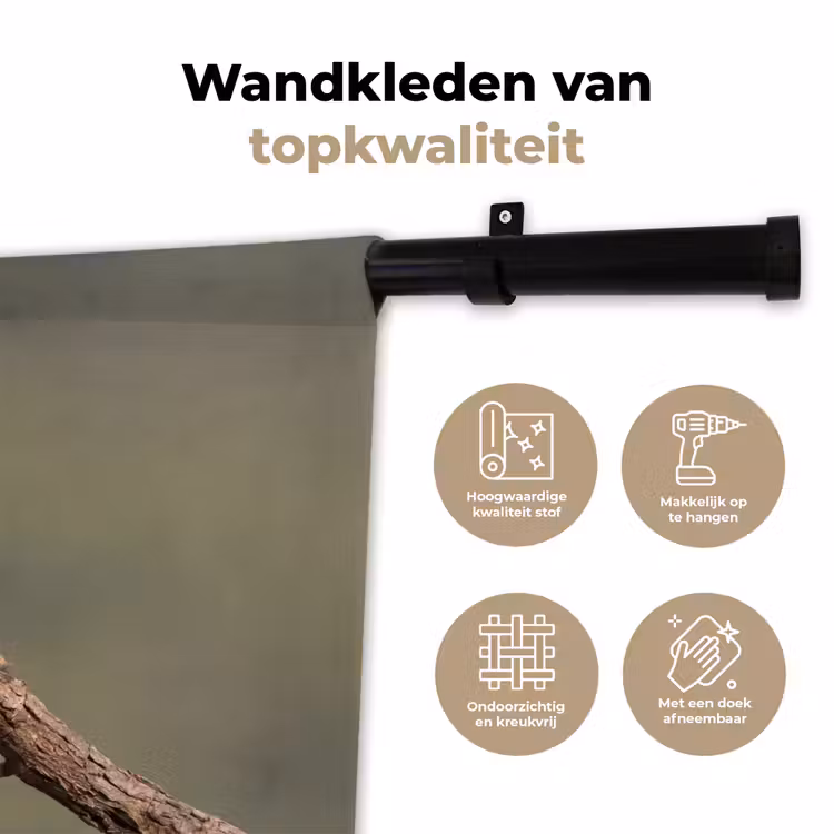 Wandkleed - Papagaai - Tak - Natuur - Kleurrijk — 3