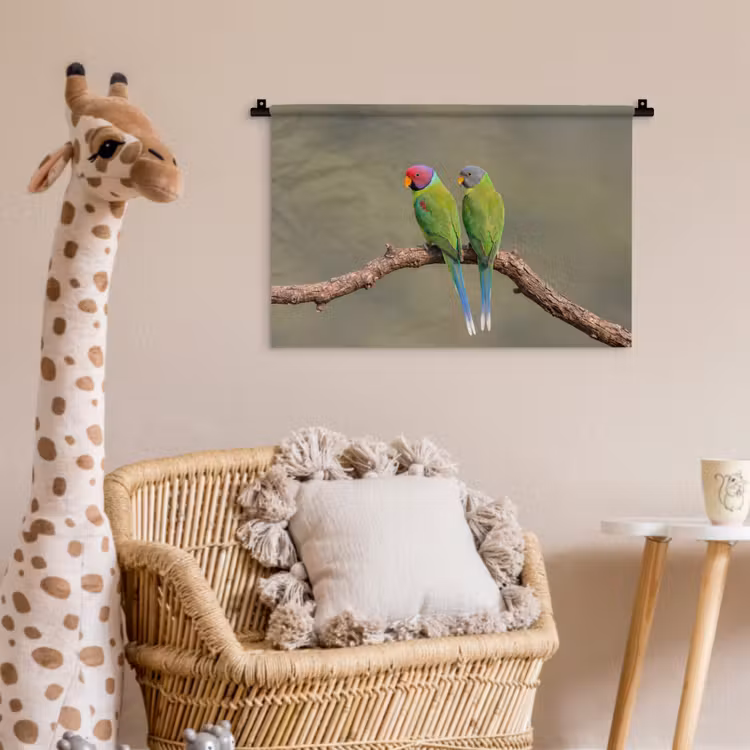 Wandkleed - Papagaai - Tak - Natuur - Kleurrijk — 5