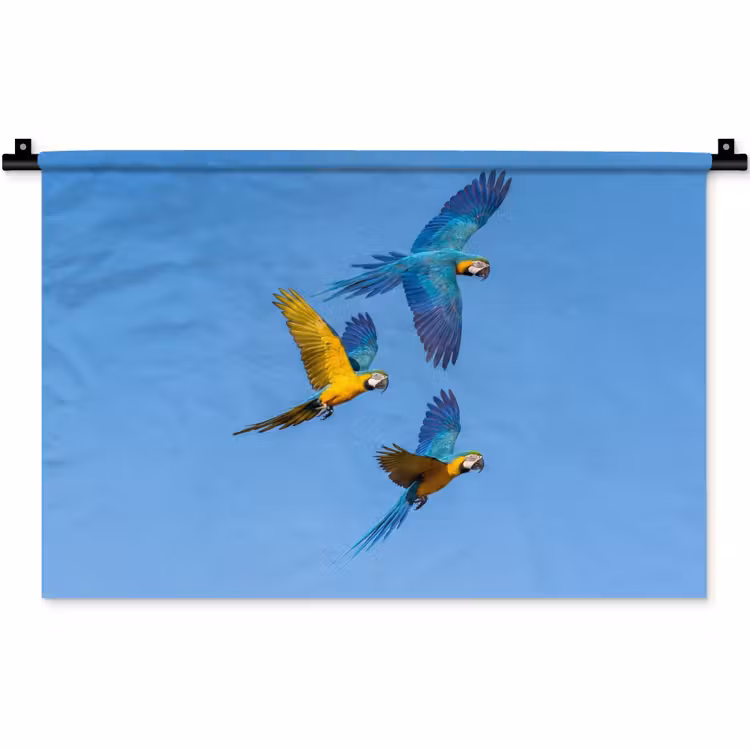 Wandkleed - Papagaai - Vliegen - Blauw - Geel — 1