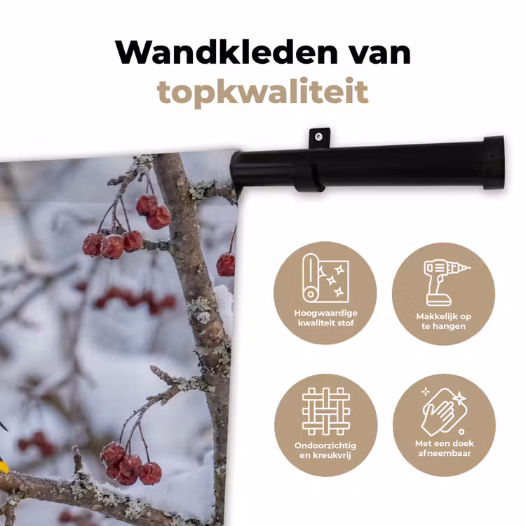 Wandkleed - Pestvogel - Bessen - Winter - Natuur — 3