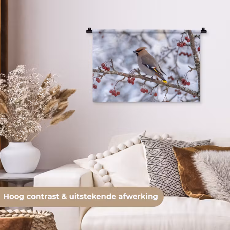 Wandkleed - Pestvogel - Bessen - Winter - Natuur — 4
