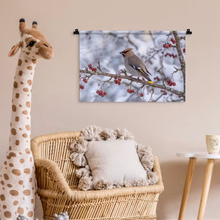 Wandkleed - Pestvogel - Bessen - Winter - Natuur — 5
