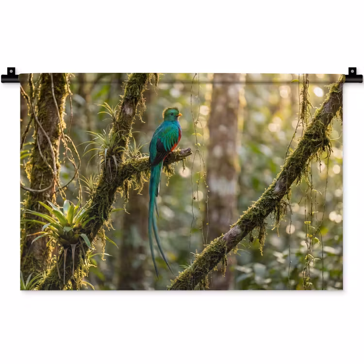 Wandkleed - Quetzal - Jungle - Natuur - Groen — 1