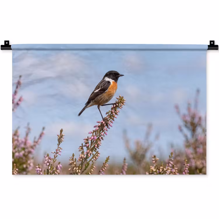 Wandkleed - Roodborsttapuit - Heide - Paars - Natuur - Sfeervol — 1