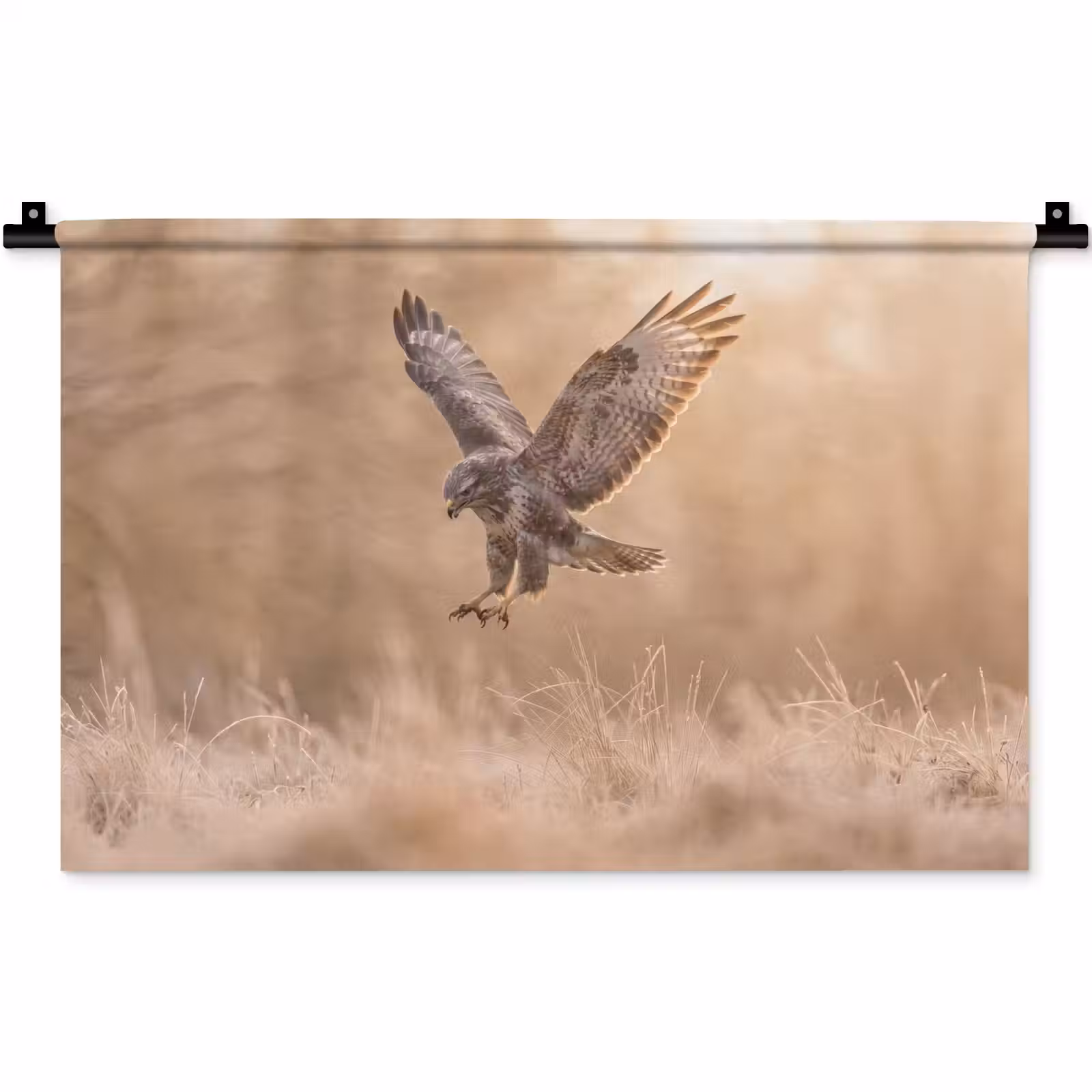 Wandkleed - Buizerd - Roofvogel - Natuur - Bruin — 1