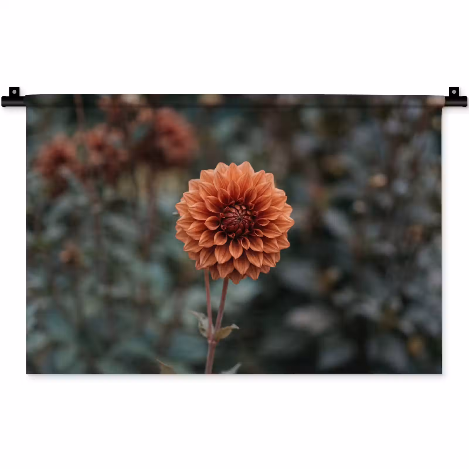 Wandkleed - Dahlia - Bloem - Natuur - Sfeervol — 1