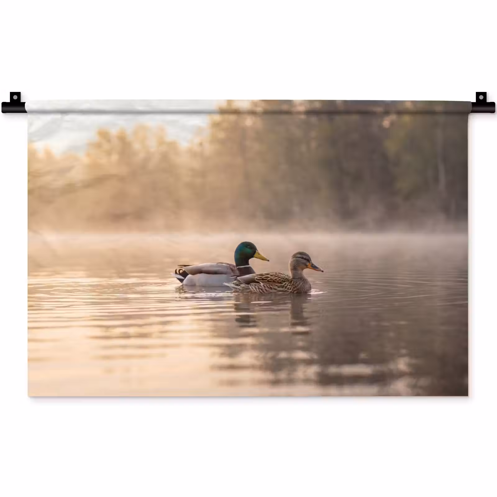 Wandkleed - Eenden - Water - Mist - Natuur — 1