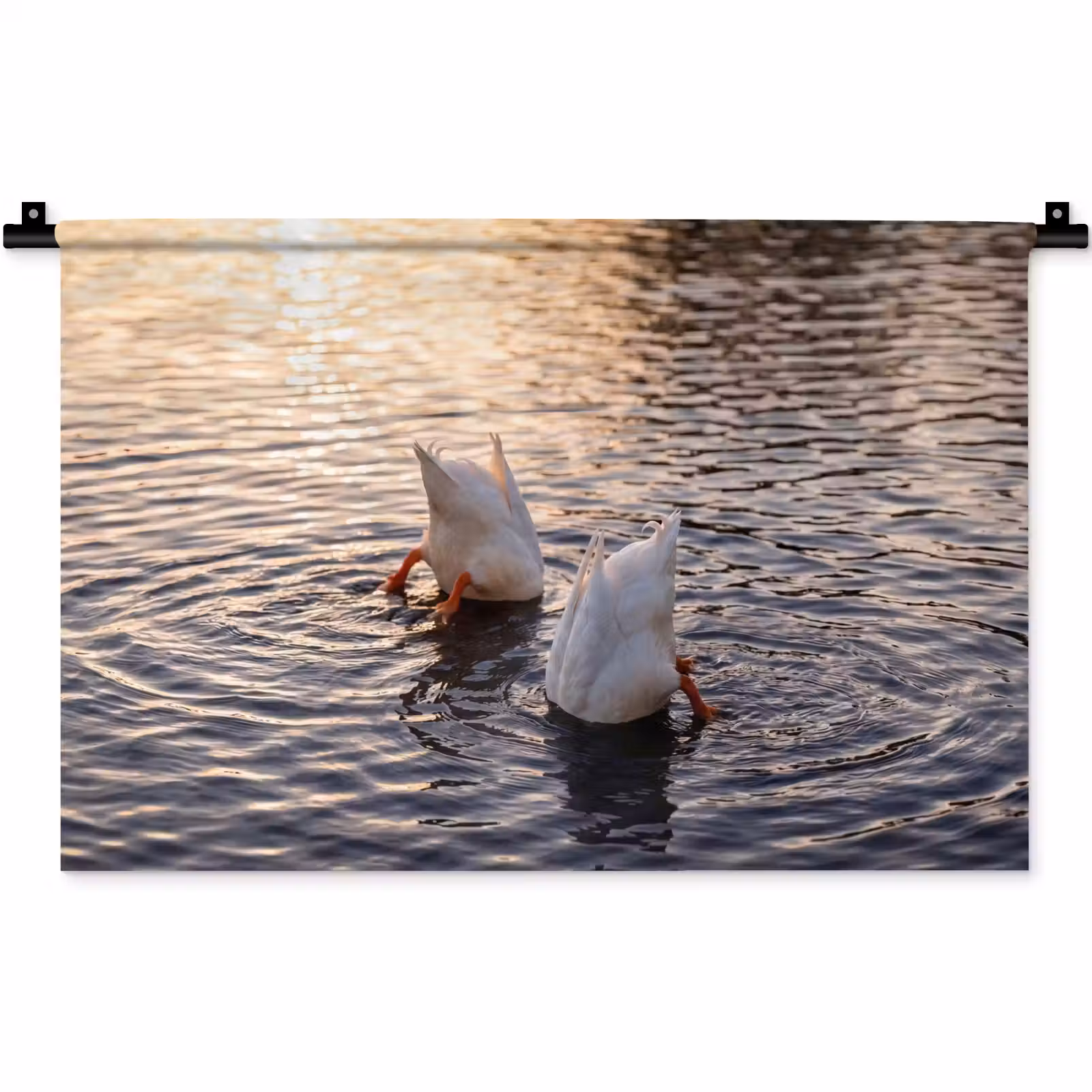 Wandkleed - Eenden - Water - Natuur — 1