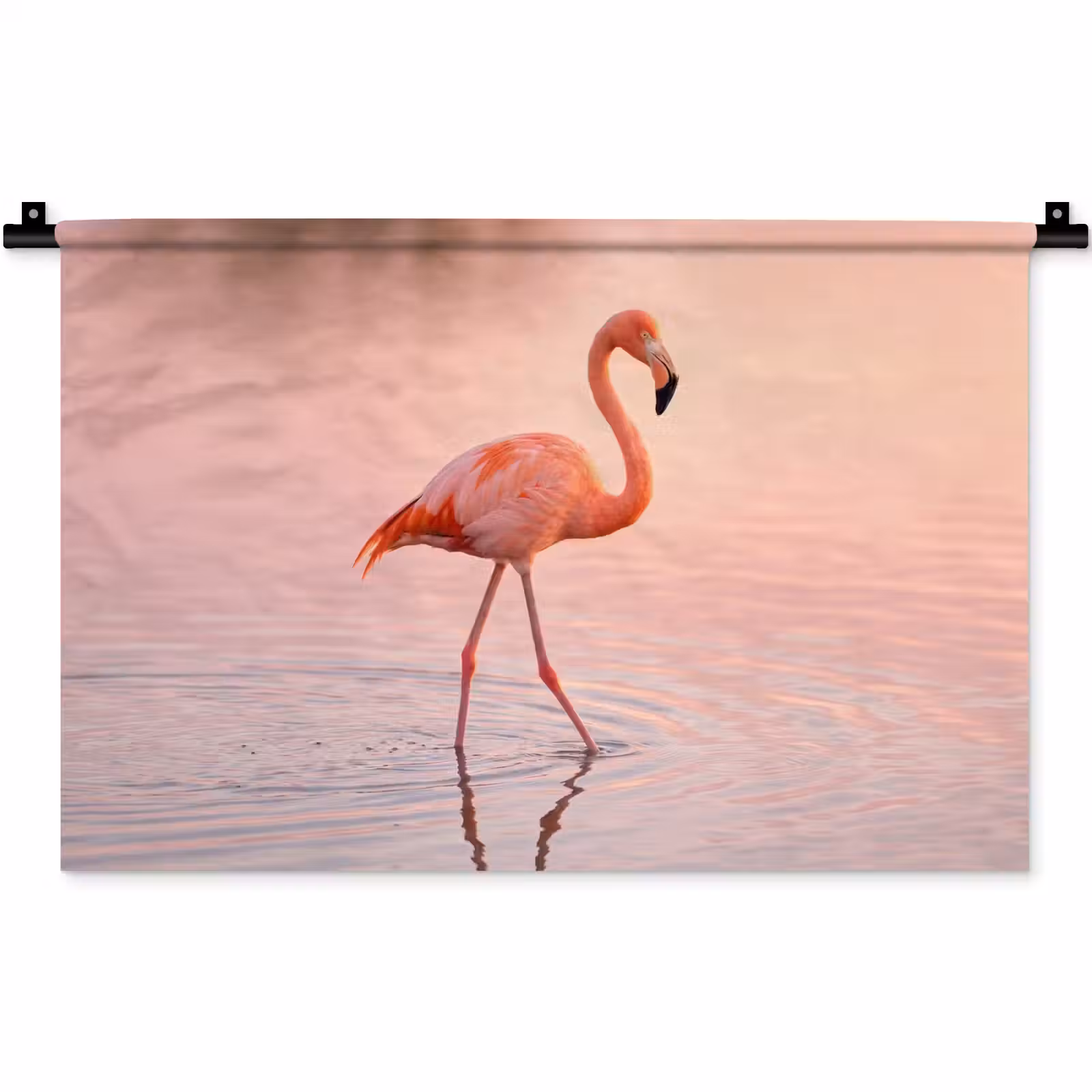Wandkleed - Flamingo - Water - Roze — 1