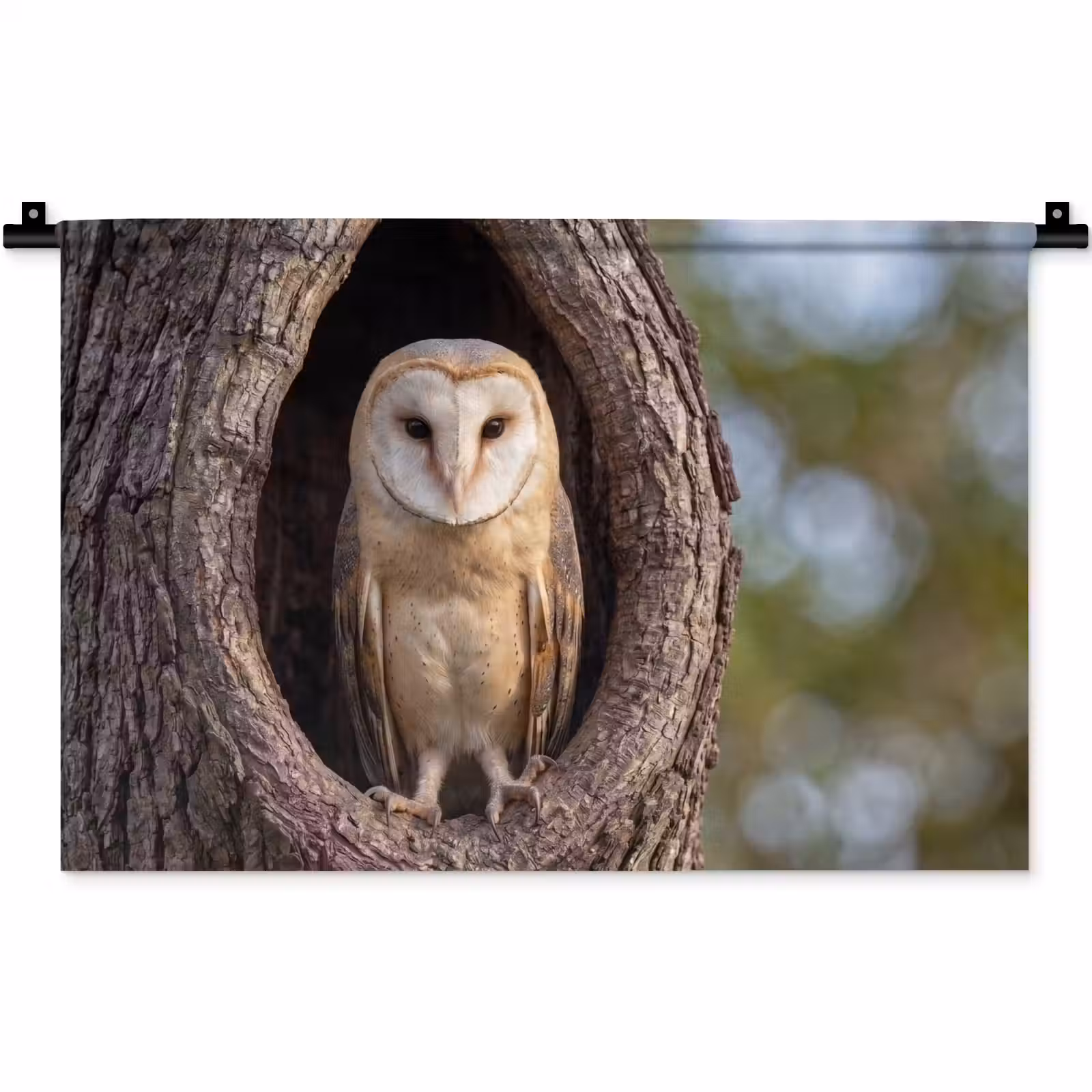 Wandkleed - Kerkuil - Boom - Natuur - Bruin — 1