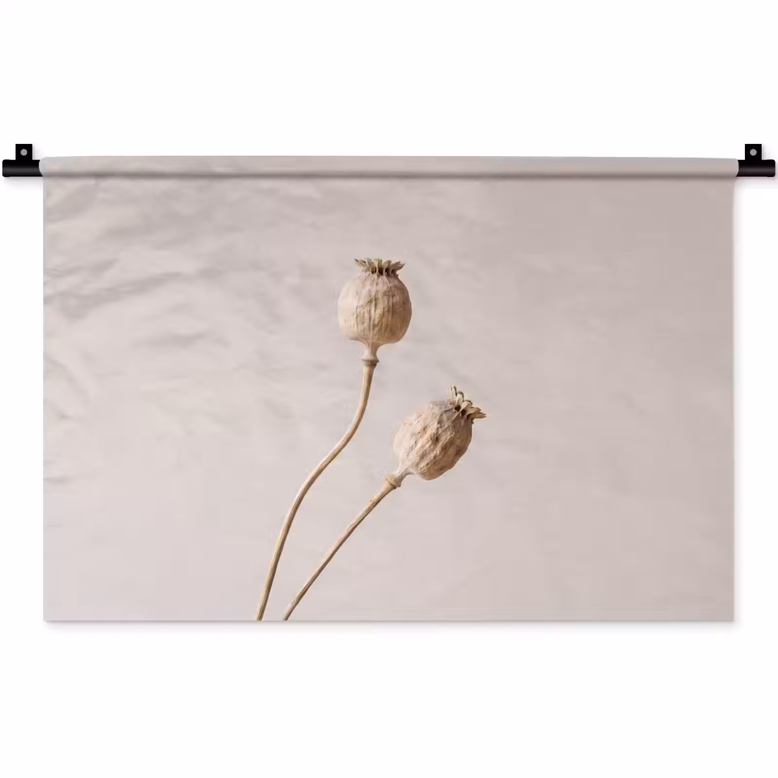 Wandkleed - Papaverbollen - Droogbloemen - Minimalistisch - Beige - Rustig — 1