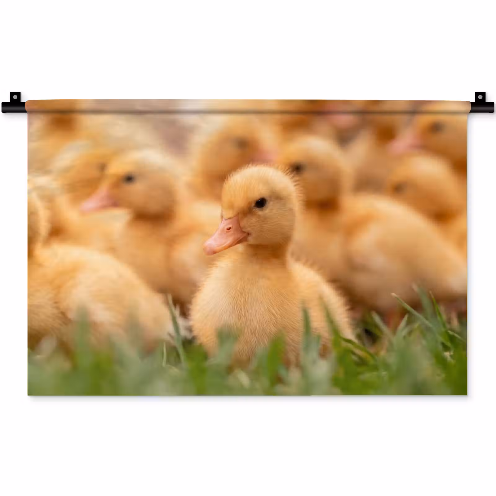 Wandkleed - Pijltje - Eend - Natuur - Geel — 1
