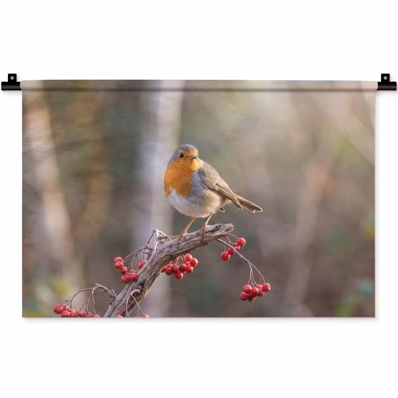Wandkleed - Roodborst - Tak - Bessen - Natuur — 1