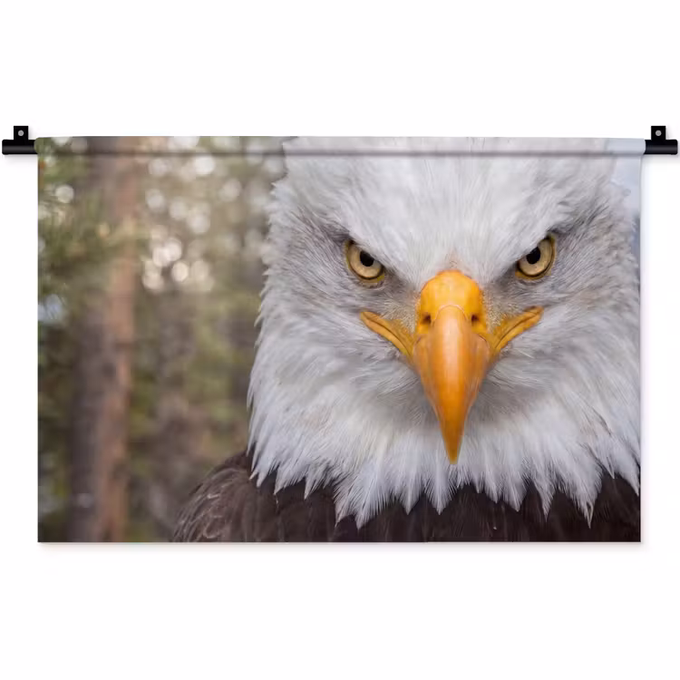 Wandkleed - Amerikaans - Zeearend - Portret - Geel — 1