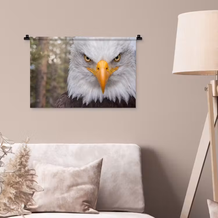 Wandkleed - Amerikaans - Zeearend - Portret - Geel — 2