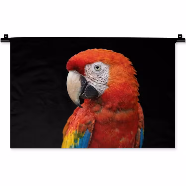 Wandkleed - Ara - Portret - Rood — 1