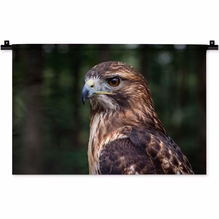 Wandkleed - Buizerd - Roofvogel - Natuur - Bruin — 1