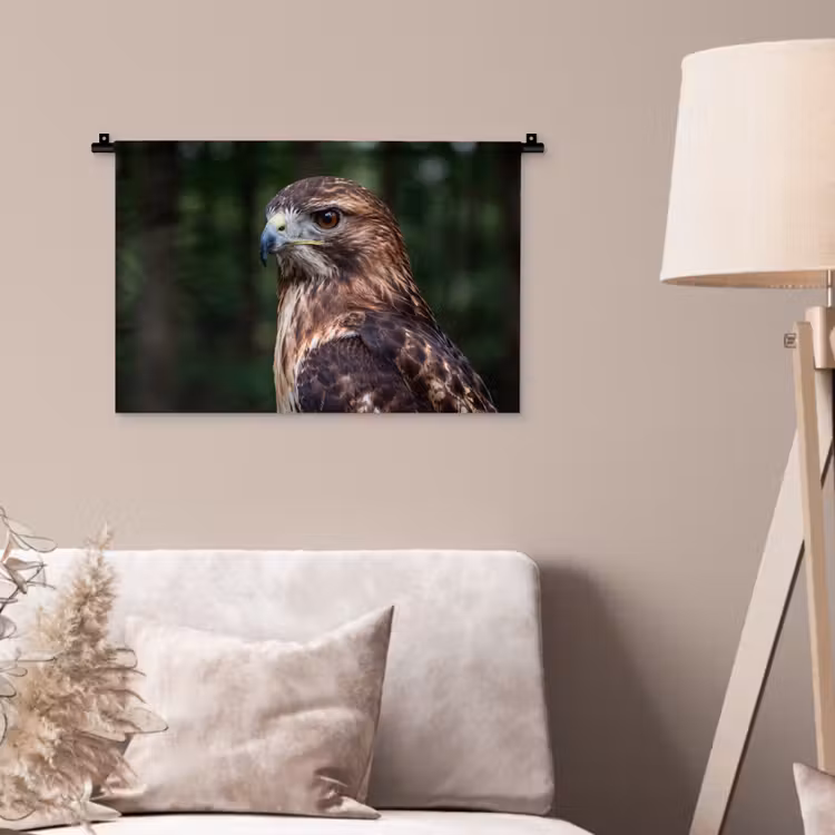 Wandkleed - Buizerd - Roofvogel - Natuur - Bruin — 2