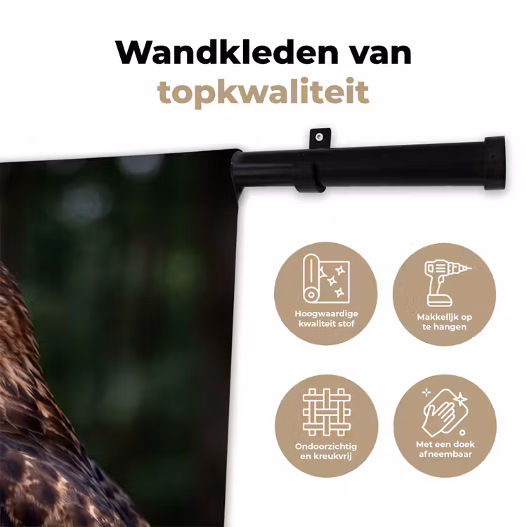 Wandkleed - Buizerd - Roofvogel - Natuur - Bruin — 3