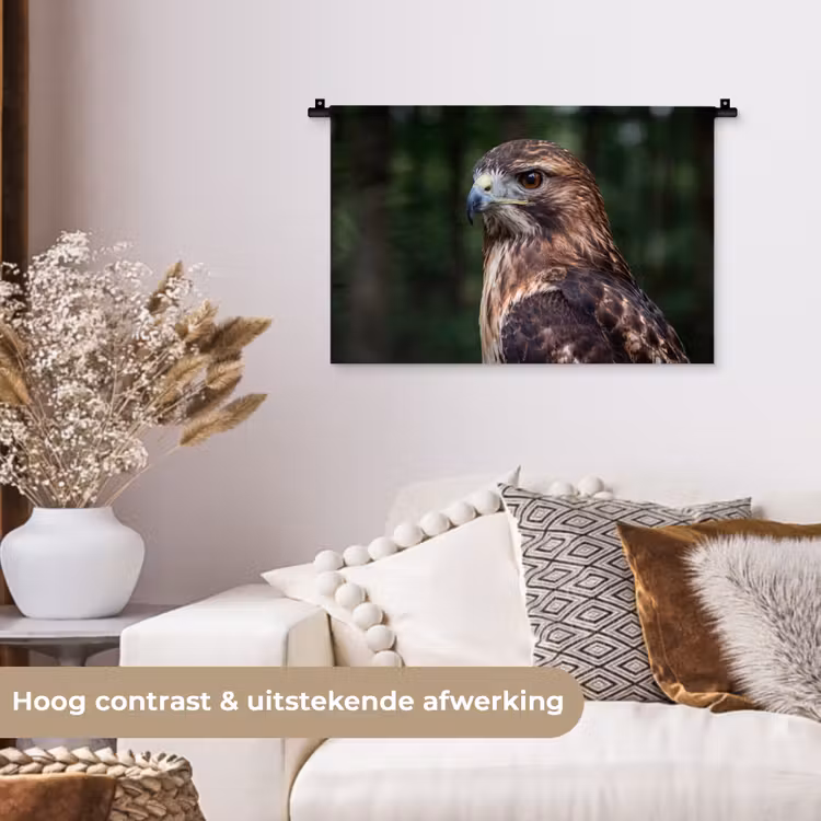 Wandkleed - Buizerd - Roofvogel - Natuur - Bruin — 4