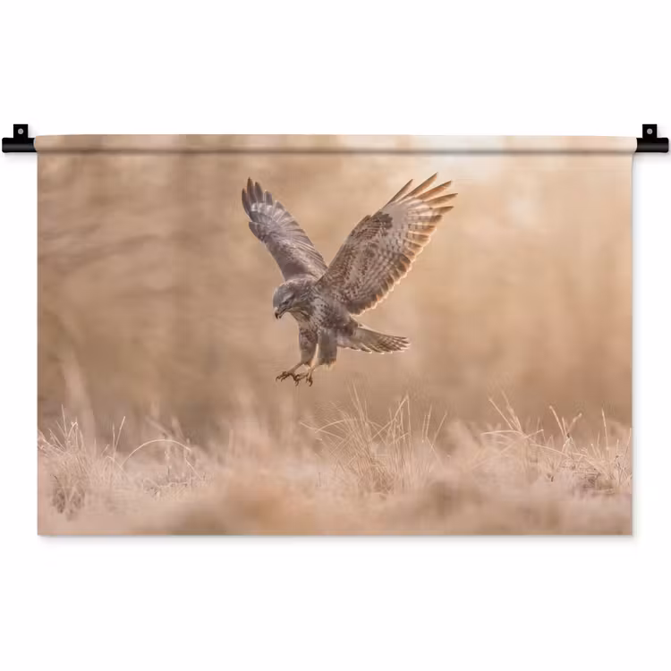 Wandkleed - Buizerd - Roofvogel - Natuur - Bruin — 1