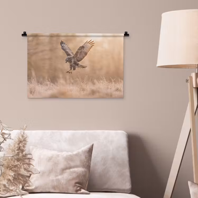 Wandkleed - Buizerd - Roofvogel - Natuur - Bruin — 2