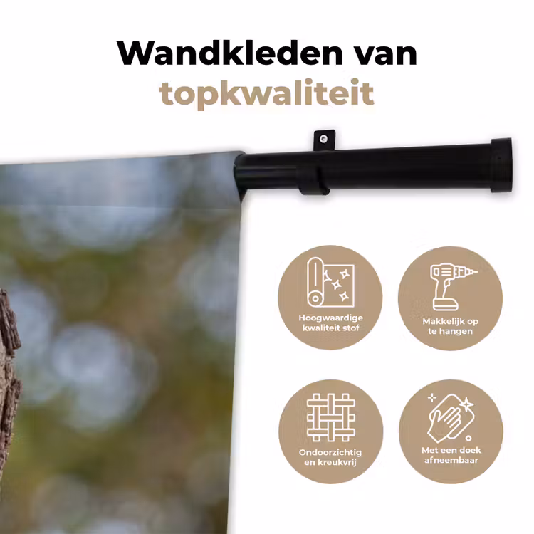 Wandkleed - Kerkuil - Boom - Natuur - Bruin — 3