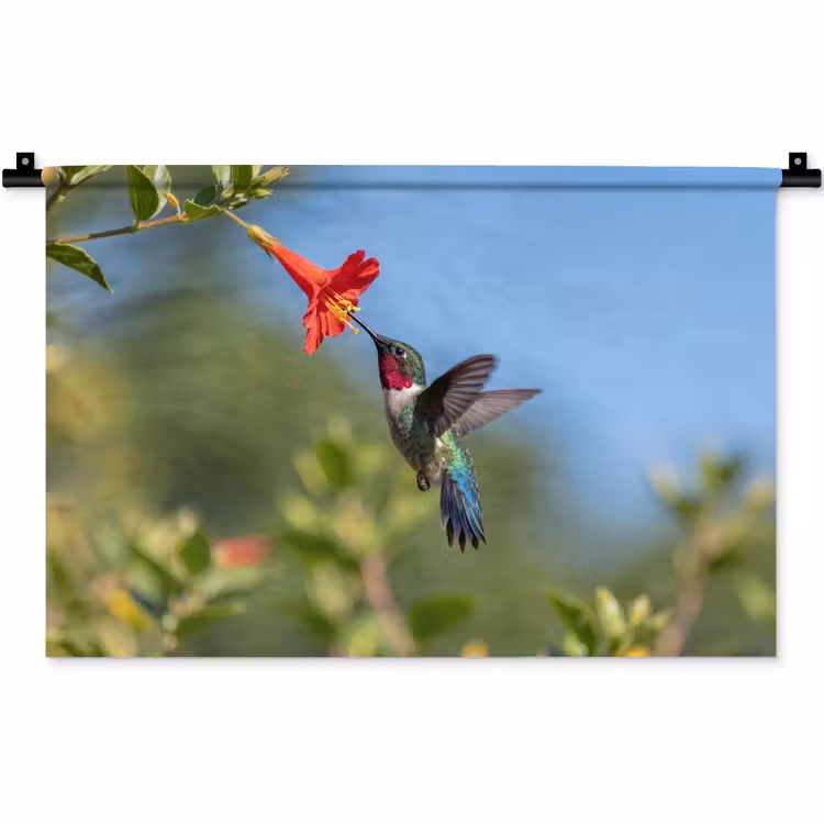 Wandkleed - Kolibrie - Bloem - Natuur - Groen — 1