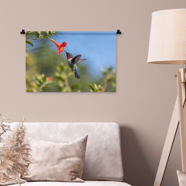 Wandkleed - Kolibrie - Bloem - Natuur - Groen — 2