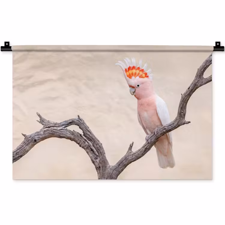 Wandkleed - Papagaai - Tak - Roze — 1
