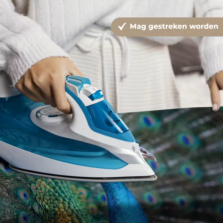 Wandkleed - Pauw - Veren - Blauw — 6