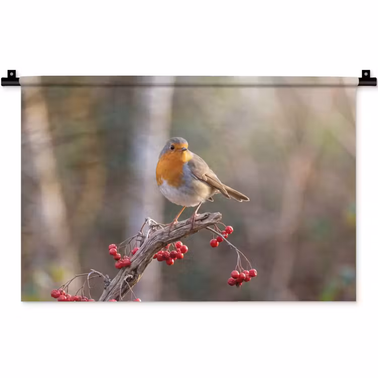 Wandkleed - Roodborst - Tak - Bessen - Natuur — 1