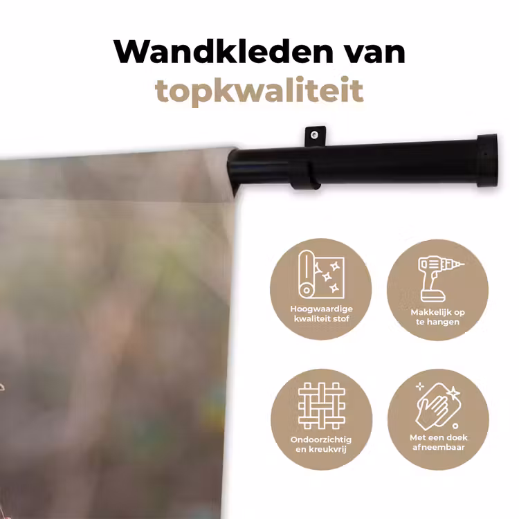 Wandkleed - Roodborst - Tak - Bessen - Natuur — 3