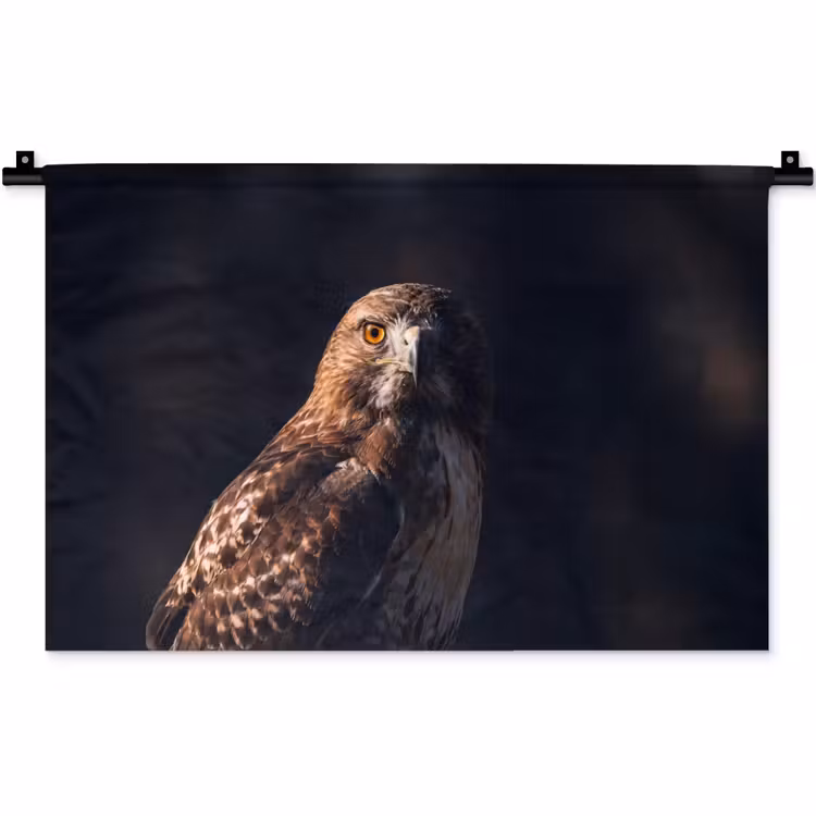 Wandkleed - Roofvogel - Buizerd - Bruin — 1