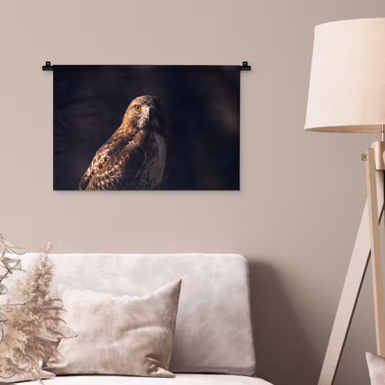 Wandkleed - Roofvogel - Buizerd - Bruin — 2